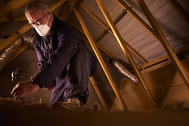 Best Insulation for New Construction  in Waymart, PA